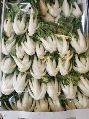 Oriental Grocery Food Store