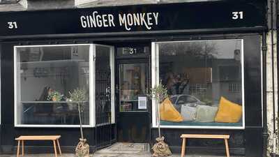 Ginger Monkey 31
