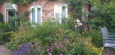 White Elephant Kitchen