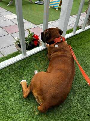 Gull Rocks Bar And Coffee House