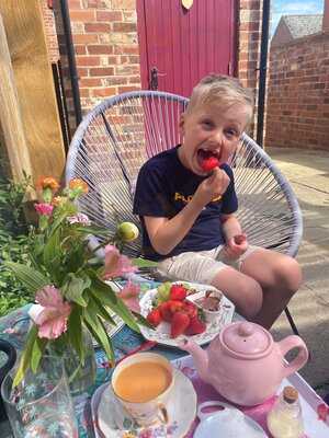 The Flamingo's Teapot