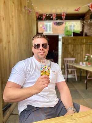 The Flamingo's Teapot