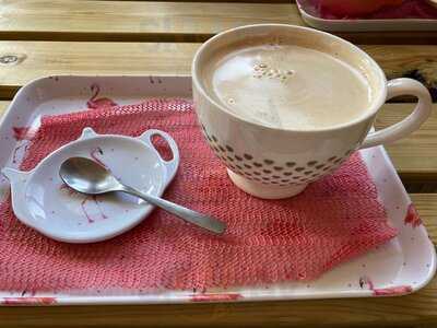 The Flamingo's Teapot