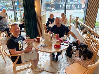 Pot Kettle Black Angel Gardens