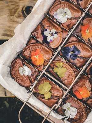 Rolling Joe Coffee Co