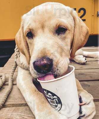 Rolling Joe Coffee Co