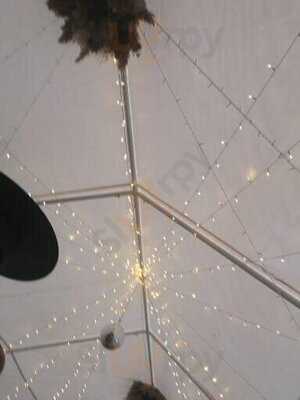 The Belle Vue Through The Looking Glass