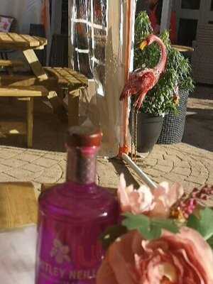 The Belle Vue Through The Looking Glass