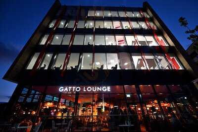 Gatto Lounge