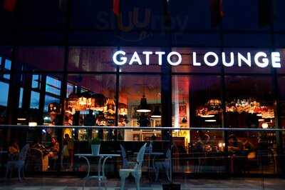 Gatto Lounge