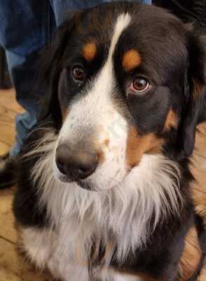 Brens Barista - Photo 8