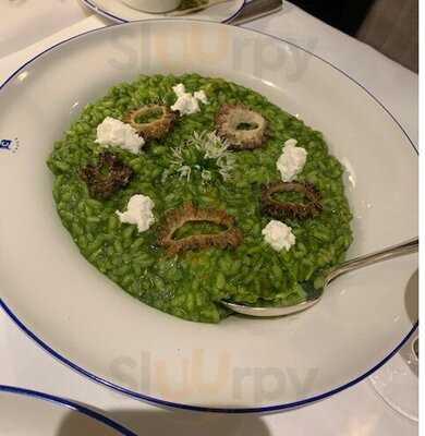 Chucs St. John's Wood