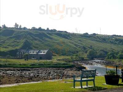 Tasty Toes - Shellfish To Go