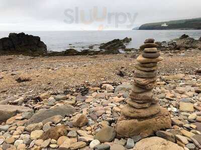 Tasty Toes - Shellfish To Go