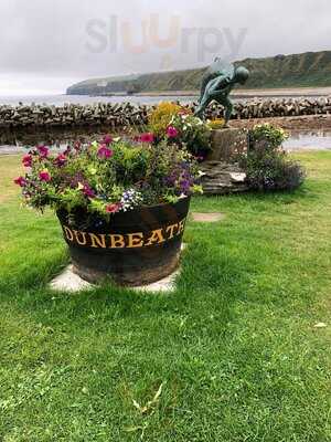 Tasty Toes - Shellfish To Go