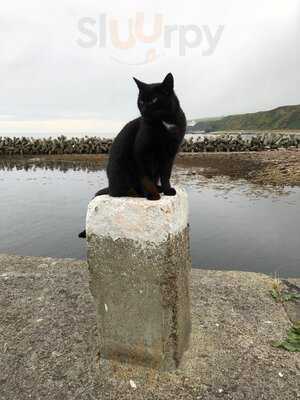 Tasty Toes - Shellfish To Go