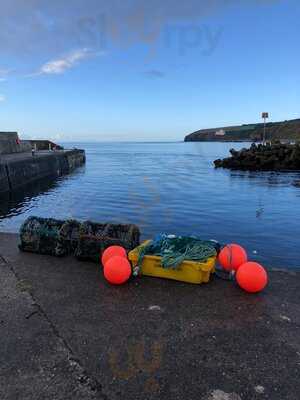 Tasty Toes - Shellfish To Go