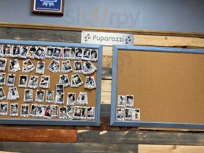 Paws For Coffee (bury) Ltd