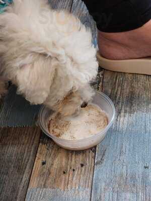 Paws For Coffee (bury) Ltd