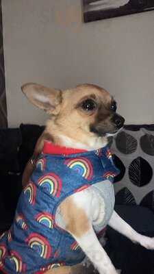 Paws For Coffee (bury) Ltd