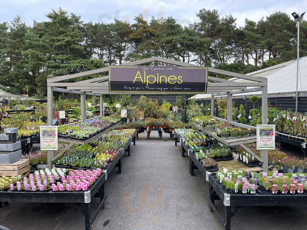 Tarporley Garden Centre