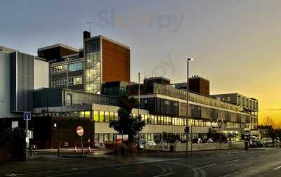 The Dolphin Restaurant