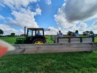 Sarsfield's Chocolaterie