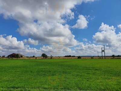 Sarsfield's Chocolaterie