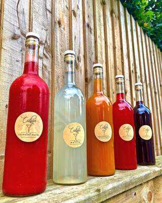 Cuban Cocktails Bournemouth