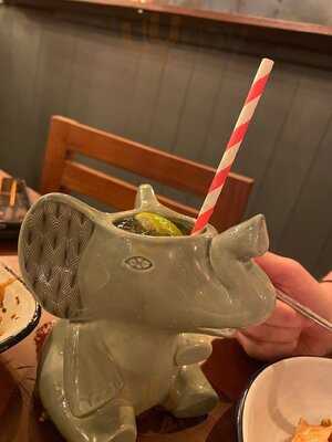 The Coconut Tree Reading