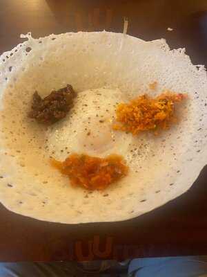 The Coconut Tree Reading