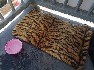 Newquay Rowing Club Cafe