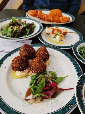 The Turquoise Mezze & Grill