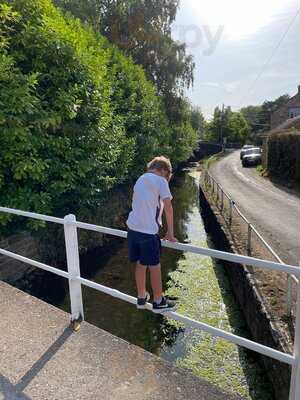 The Queen's Chew Magna