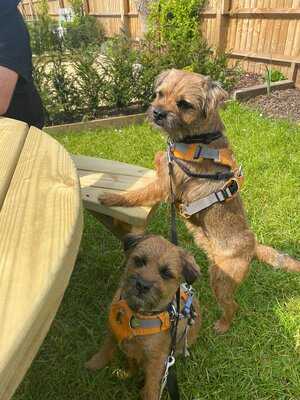 The Queen's Chew Magna