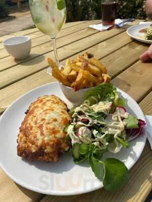 The Queen's Chew Magna