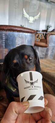 Paddy & Scott's Ambition House