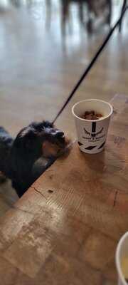 Paddy & Scott's Ambition House