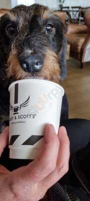 Paddy & Scott's Ambition House