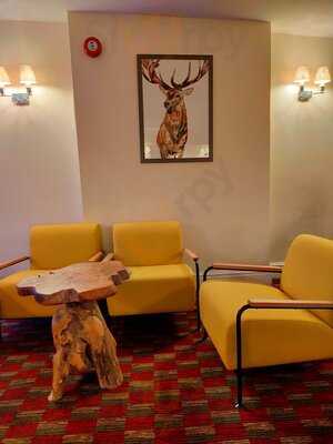 Feather & Hide Bar & Grill