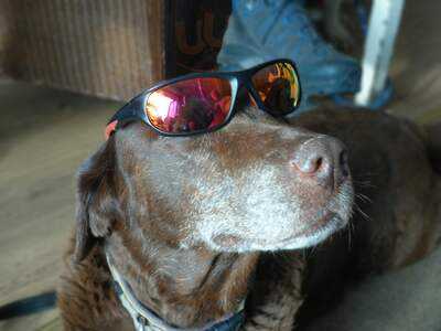 Number 18 Bar And Gin Lounge