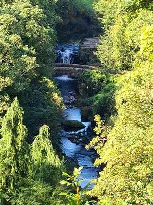 Urban Green Cafe Paddy Freeman's Park