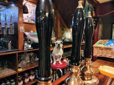 The Swan With Two Necks