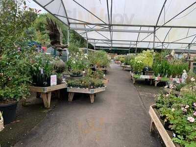 Birchencliffe Garden Centre, Huddersfield - 75 Birchencliffe Hill Road ...