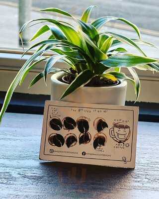 Kingsway Coffee Hove