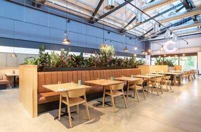 Crimple Bar + Kitchen