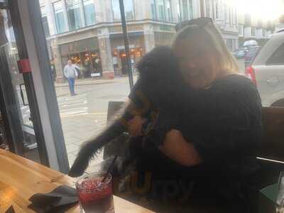 Other Monkey Brewing - The Taproom