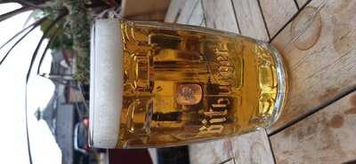 Albert's Jungerer Bruder