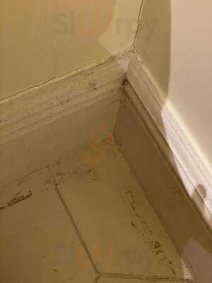 Afternoon Tea At The Bentley Hotel