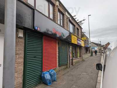 Mexican Bite Paisley